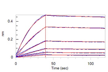 Human IL-10 R alpha / CD210 Protein