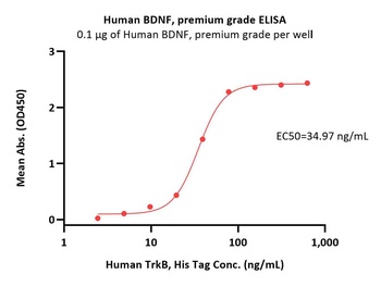 Human BDNF / Abrineurin Protein, premium grade
