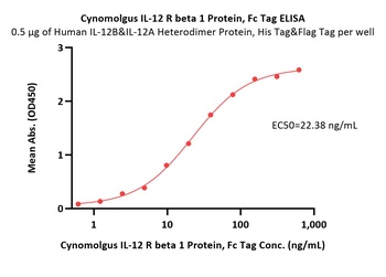 Cynomolgus IL-12 R beta 1 Protein, Fc Tag