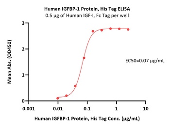 Human IGFBP-1 Protein, His Tag