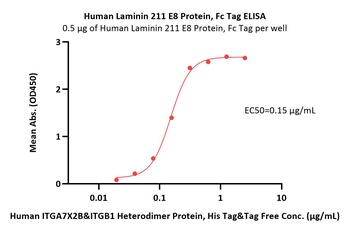 Human Laminin 211 Protein, Fc Tag