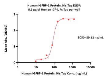 Human IGFBP-2 Protein, His Tag (MALS verified)