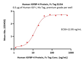 Human IGFBP-4 Protein, Fc Tag (MALS verified)