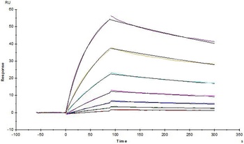 Human M-CSF / CSF-1 Protein