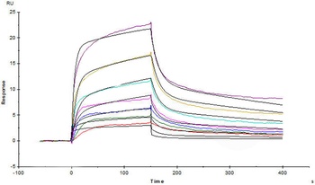 Human IL-7 R alpha Protein, mFc Tag