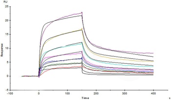 Human IL-7 R alpha / CD127 Protein