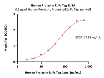 Human Prolactin R Protein, Fc Tag