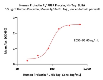 Human Prolactin R Protein, His Tag