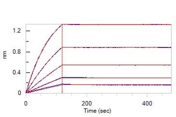 Mouse VEGF R1 / Flt-1 Protein