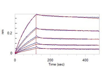 Mouse VEGF R2 / KDR Protein