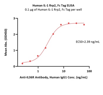 Human IL-1 Rrp2 / IL-1 R6 Protein