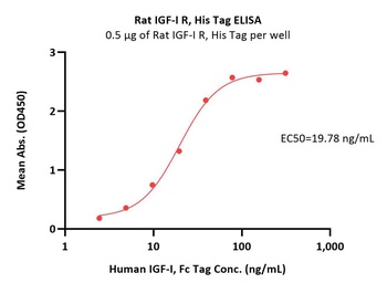 Rat IGF-I R / CD221 Protein