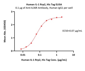 Human IL-1 Rrp2 / IL-1 R6 Protein