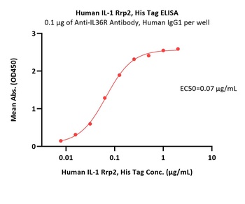 Human IL-1 Rrp2 Protein, His Tag