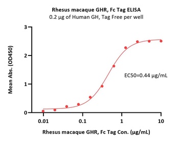 Rhesus macaque Growth Hormone R Protein, Fc Tag