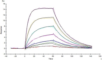 Human GM-CSF R alpha Protein