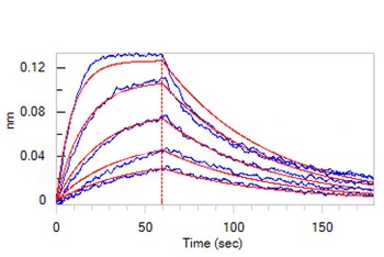 Human GM-CSF R alpha Protein