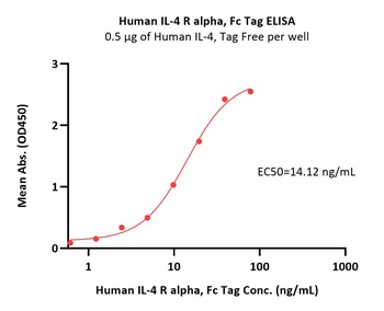 Human IL-4 R alpha / CD124 Protein