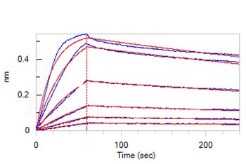 Mouse CTGF Protein, His Tag