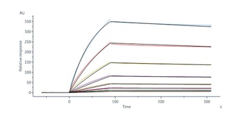 Human IL-31 RA Protein, Fc Tag