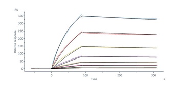 Human IL-31 RA Protein