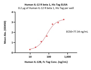 Human IL-12 R beta 1 / CD212 Protein