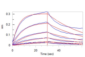 Human IL-6 R alpha / CD126 Protein