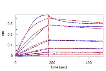 Human IL-17 RE Protein, Fc Tag