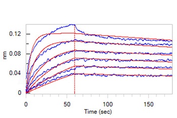 Human IL-13 Protein, Fc Tag