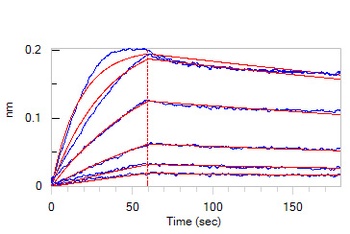 Human IL-33 Protein