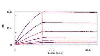 Human IL-5 Protein