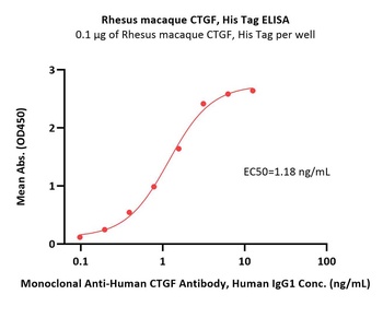 Rhesus macaque CTGF / CCN2 Protein