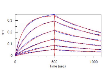 Human IL-17F Protein