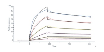 Human HGF Protein