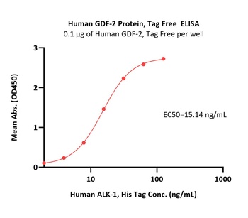 Human GDF-2 Protein