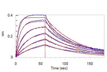 Human IFN-alpha 1 Protein, His Tag