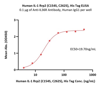Human IL-1 Rrp2 Protein, His Tag