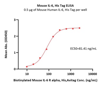 Mouse IL-6 Protein