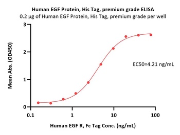 Human EGF Protein