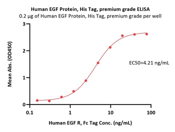 Human EGF Protein, His Tag