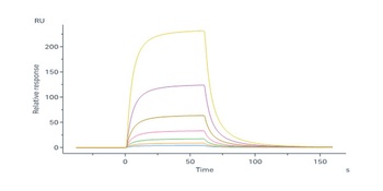 Mouse IL-2 Protein, His Tag
