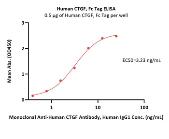Human CTGF / CCN2 Protein