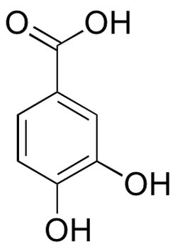 Protocatechuic Acid