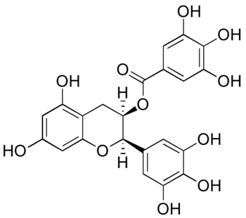 Epigallocatechin Gallate