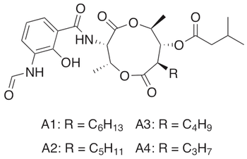 Antimycin A