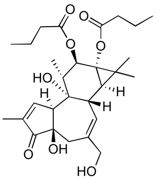 Phorbol-12,13-dibutyrate