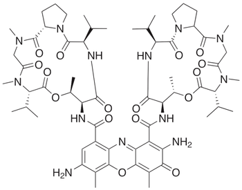 7-Aminoactinomycin D