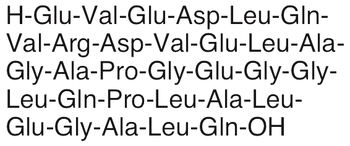 C-Peptide, dog