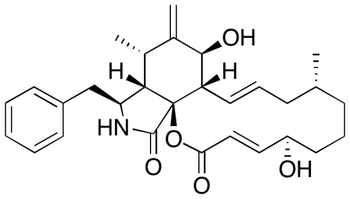 Cytochalasin B