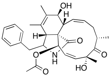 Cytochalasin C